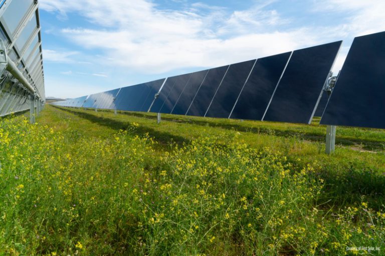 Солнечные электростанции могут работать 50 лет без замены модулей
